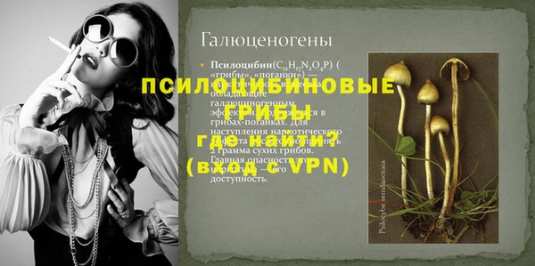герыч Горняк