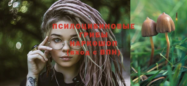 марихуана Горнозаводск