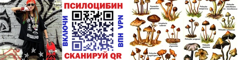 Псилоцибиновые грибы Cubensis  Дубовка 